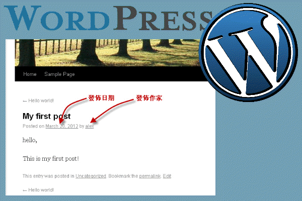 wordpress-delete-post-date-author-links
